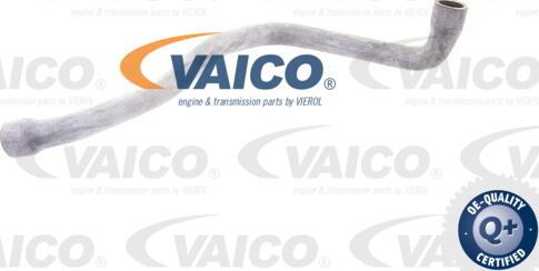 VAICO V30-1579 - Flessibile radiatore www.autoricambit.com