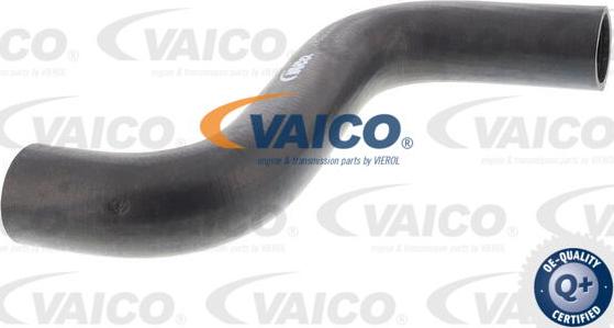 VAICO V30-1574 - Flessibile radiatore www.autoricambit.com