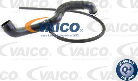VAICO V30-1654 - Flessibile radiatore www.autoricambit.com