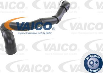 VAICO V30-1652 - Flessibile radiatore www.autoricambit.com