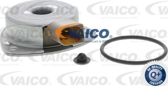 VAICO V30-1136 - Magnete centrale, Regolazione albero a camme www.autoricambit.com