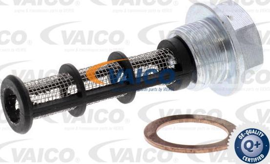 VAICO V30-3181 - Vite di chiusura, vaschetta dell'olio www.autoricambit.com