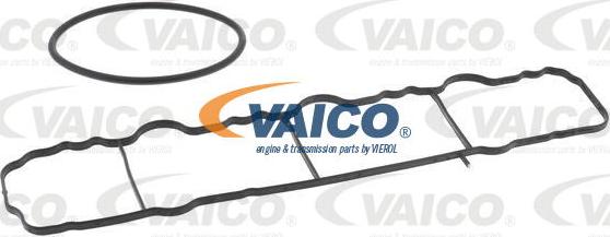 VAICO V30-3720 - Modulo collettore aspirazione www.autoricambit.com