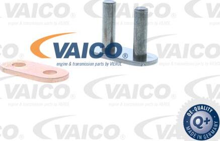 VAICO V30-2319 - Catena distribuzione www.autoricambit.com