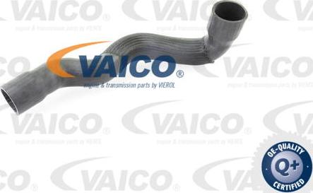 VAICO V30-2249 - Flessibile aria alimentazione www.autoricambit.com