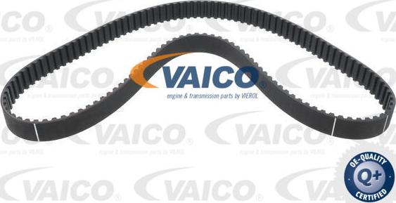 VAICO V24-0991 - Cinghia dentata www.autoricambit.com