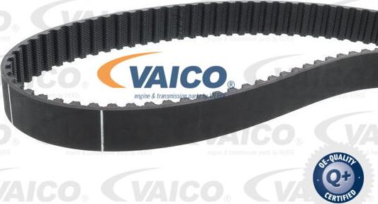 VAICO V24-0991 - Cinghia dentata www.autoricambit.com