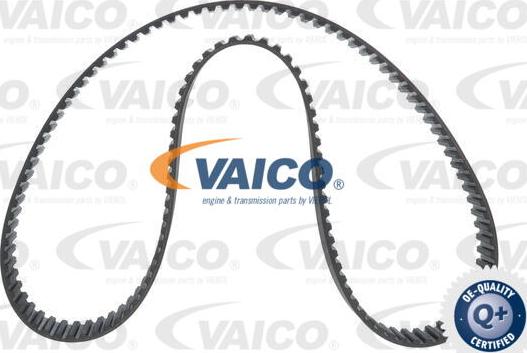 VAICO V24-0991 - Cinghia dentata www.autoricambit.com