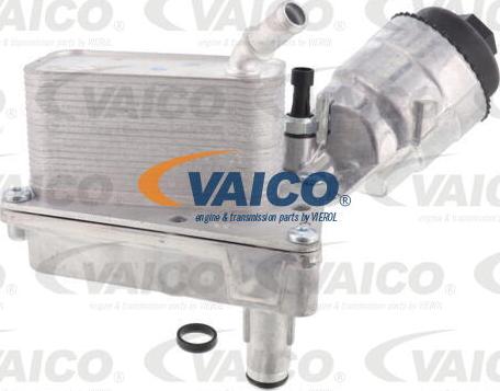 VAICO V24-0998 - Carter, Filtro olio www.autoricambit.com