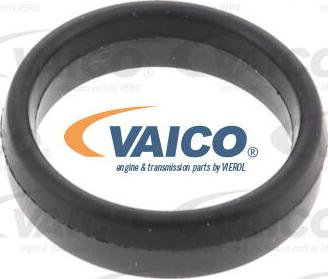 VAICO V24-0998 - Carter, Filtro olio www.autoricambit.com