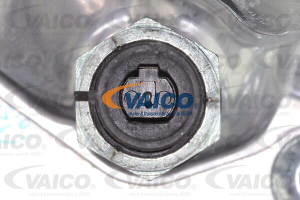 VAICO V24-0998 - Carter, Filtro olio www.autoricambit.com