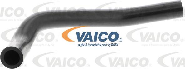 VAICO V24-0867 - Flessibile d'aspirazione, Filtro aria www.autoricambit.com