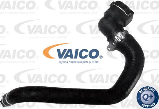 VAICO V24-1279 - Flessibile radiatore www.autoricambit.com
