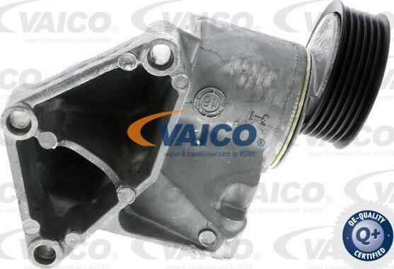 VAICO V25-9696 - Tendicinghia, Cinghia Poly-V www.autoricambit.com