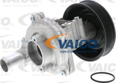 VAICO V25-50022 - Pompa acqua www.autoricambit.com