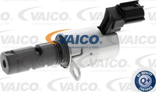 VAICO V25-0982 - Valvola comando, Regolazione albero a camme www.autoricambit.com