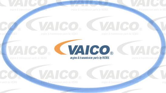 VAICO V25-0081 - Filtro carburante www.autoricambit.com