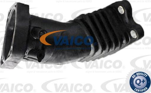 VAICO V25-0851 - Flessibile d'aspirazione, Filtro aria www.autoricambit.com