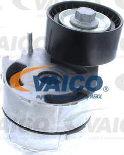 VAICO V25-0343 - Tendicinghia, Cinghia Poly-V www.autoricambit.com