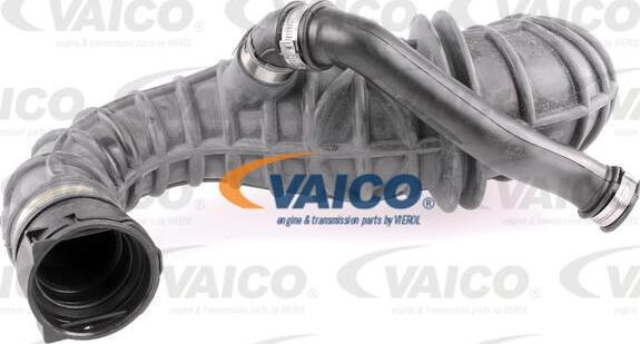 VAICO V25-0795 - Flessibile d'aspirazione, Filtro aria www.autoricambit.com