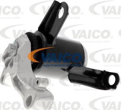 VAICO V25-0704 - Sospensione, Motore www.autoricambit.com