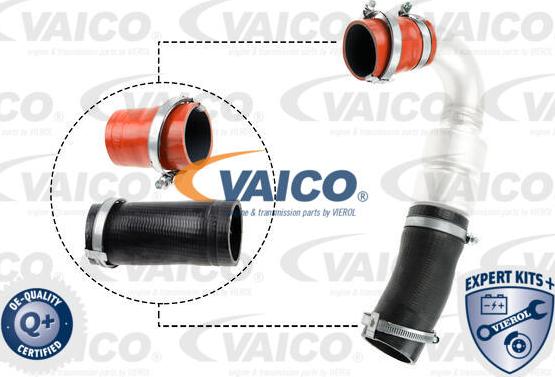 VAICO V25-1920 - Flessibile aria alimentazione www.autoricambit.com