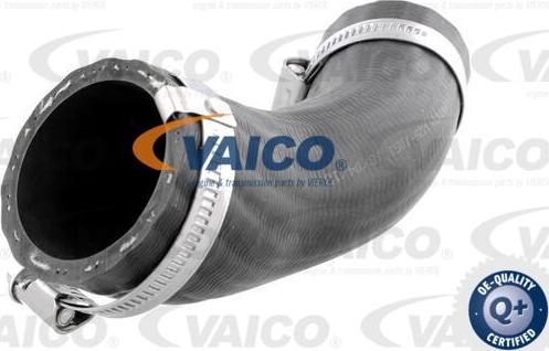 VAICO V25-1051 - Flessibile aria alimentazione www.autoricambit.com