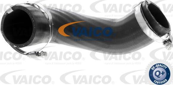 VAICO V25-1058 - Flessibile aria alimentazione www.autoricambit.com