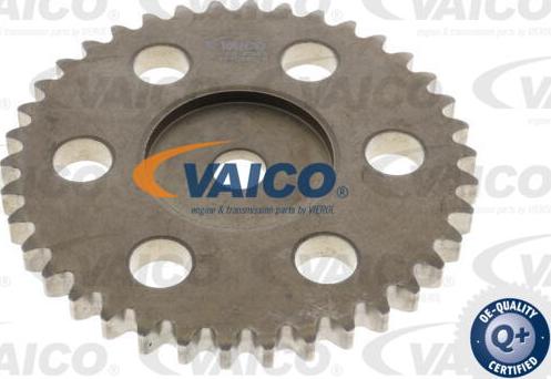 VAICO V25-10004-SP - Kit catena distribuzione www.autoricambit.com