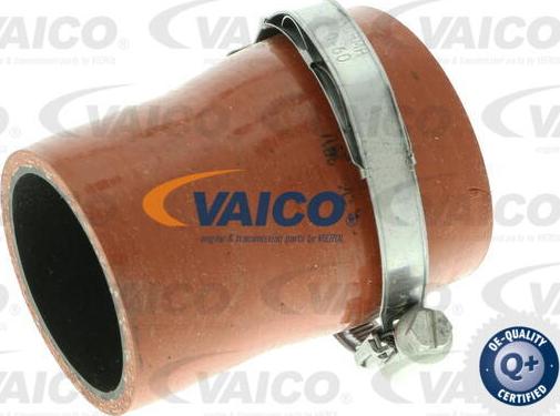 VAICO V25-1035 - Flessibile aria alimentazione www.autoricambit.com