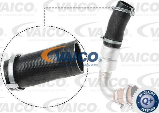 VAICO V25-1036 - Flessibile aria alimentazione www.autoricambit.com