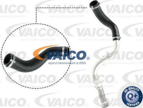 VAICO V25-1024 - Flessibile aria alimentazione www.autoricambit.com