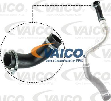 VAICO V25-1023 - Flessibile aria alimentazione www.autoricambit.com