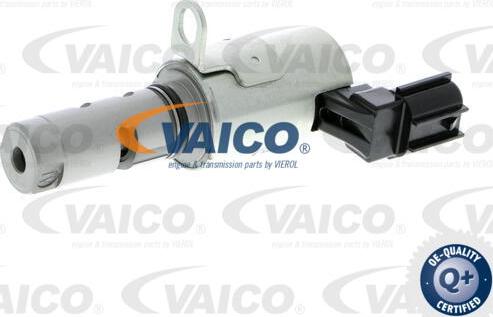 VAICO V25-1188 - Valvola comando, Regolazione albero a camme www.autoricambit.com