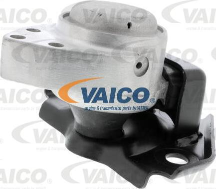 VAICO V25-1134 - Sospensione, Motore www.autoricambit.com