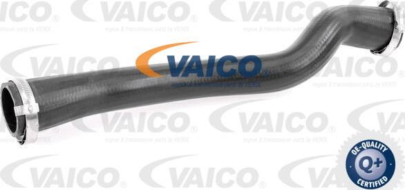 VAICO V25-1247 - Flessibile aria alimentazione www.autoricambit.com