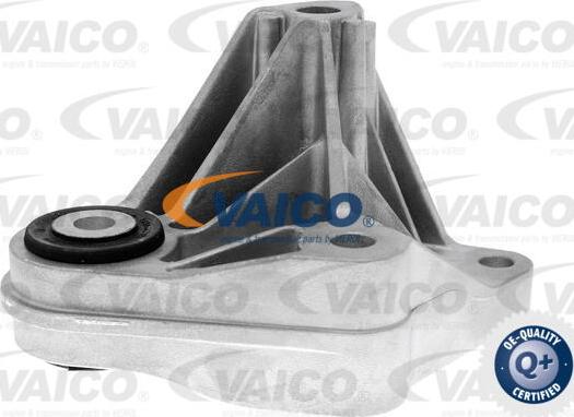 VAICO V25-1258 - Sospensione, Motore www.autoricambit.com