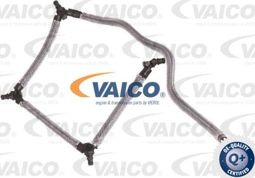 VAICO V25-2559 - Flessibile, Carburante perso www.autoricambit.com