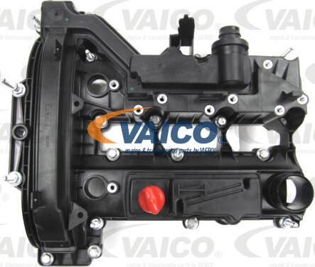 VAICO V25-2186 - Copritestata www.autoricambit.com