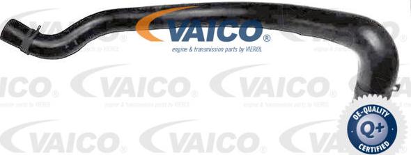 VAICO V25-2302 - Flessibile radiatore www.autoricambit.com