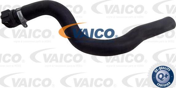 VAICO V25-2330 - Flessibile radiatore www.autoricambit.com