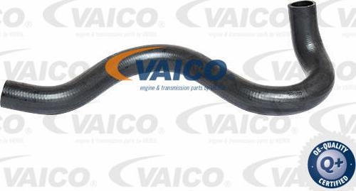 VAICO V25-2299 - Flessibile radiatore www.autoricambit.com