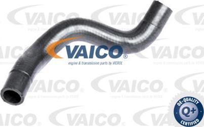 VAICO V25-2295 - Flessibile radiatore www.autoricambit.com