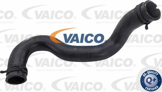VAICO V25-2288 - Flessibile radiatore www.autoricambit.com
