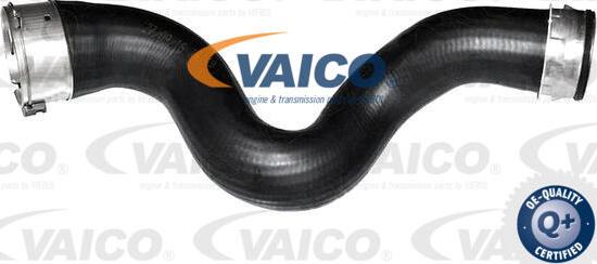 VAICO V20-4362 - Flessibile aria alimentazione www.autoricambit.com