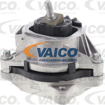 VAICO V20-4318 - Sospensione, Motore www.autoricambit.com