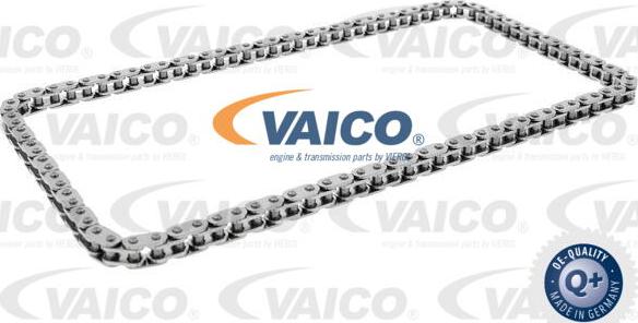 VAICO V20-3919 - Kit catene, Azionamento pompa olio www.autoricambit.com