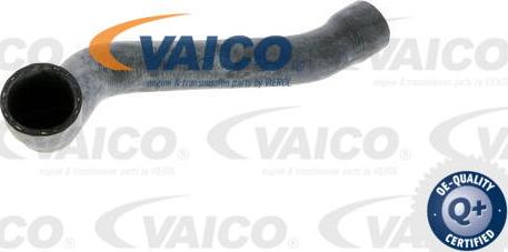 VAICO V20-0153 - Flessibile radiatore www.autoricambit.com