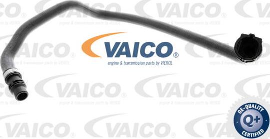 VAICO V20-0891 - Flessibile radiatore www.autoricambit.com