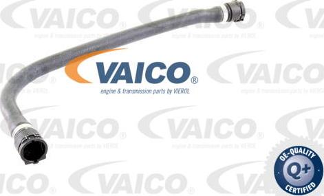 VAICO V20-0892 - Flessibile radiatore www.autoricambit.com